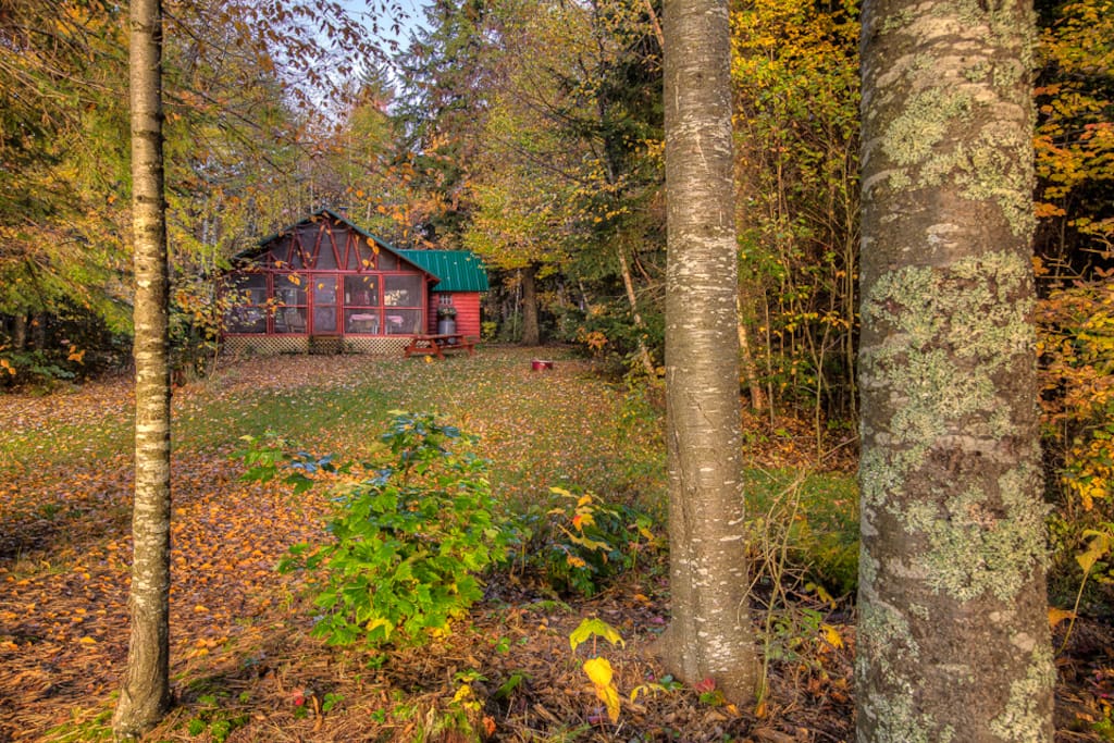 Cabin has private yard