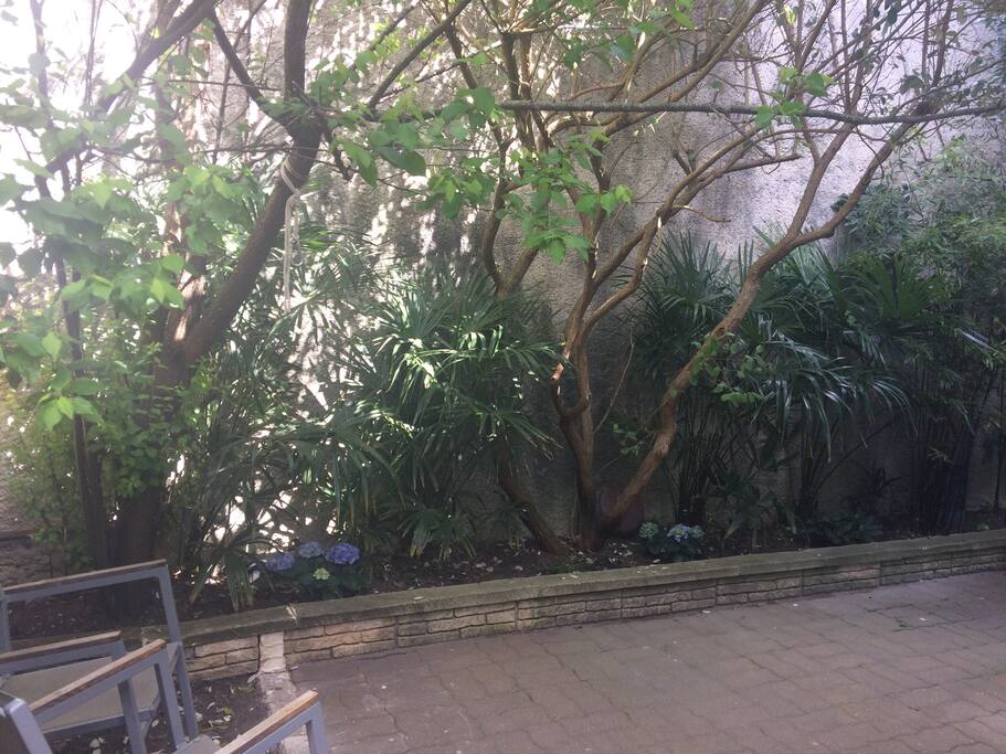Jardin