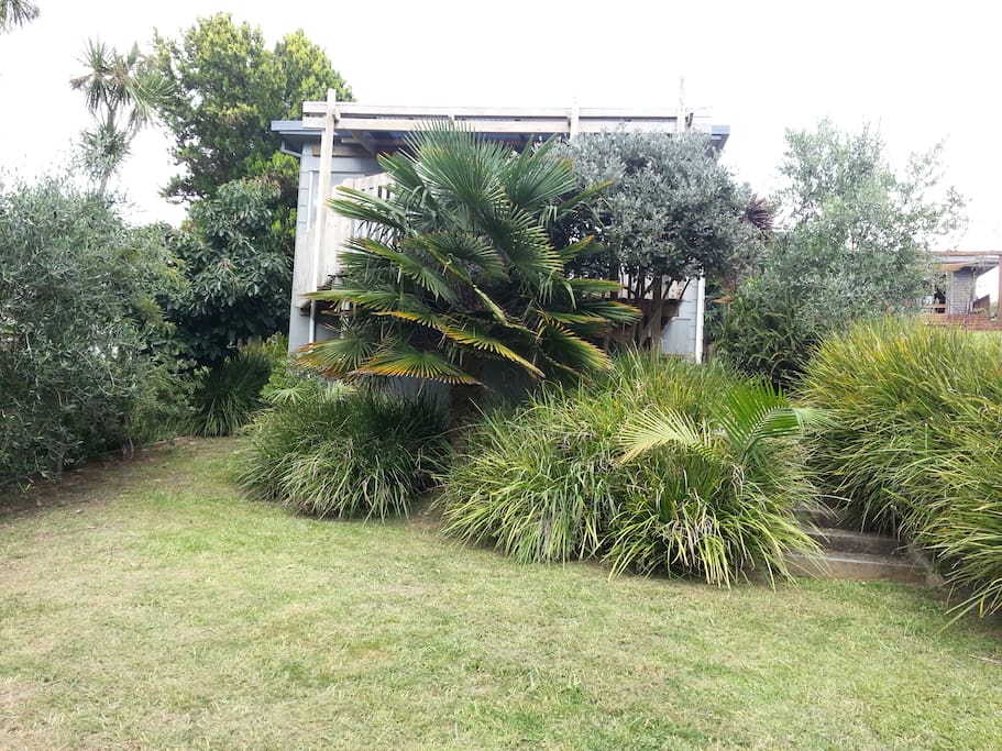 House looking out to back yard and bush reserve.