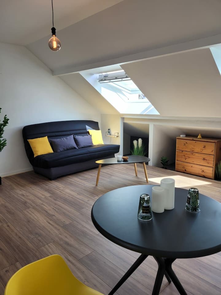 Beautiful apartment 20 minutes from Paris,Disneyland Apartments for Rent in