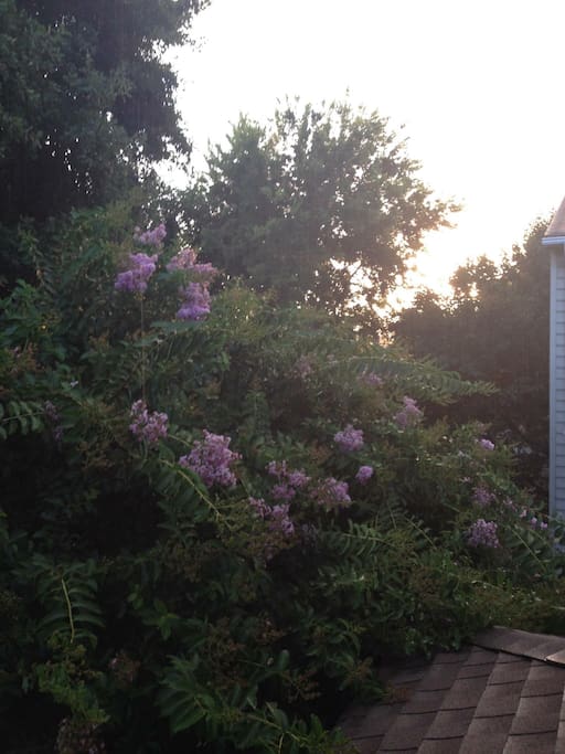 View from the private balcony on the third floor