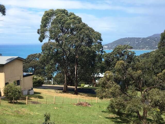 L’Vista Lorne – Luxury House in Peaceful Location gallery image 4