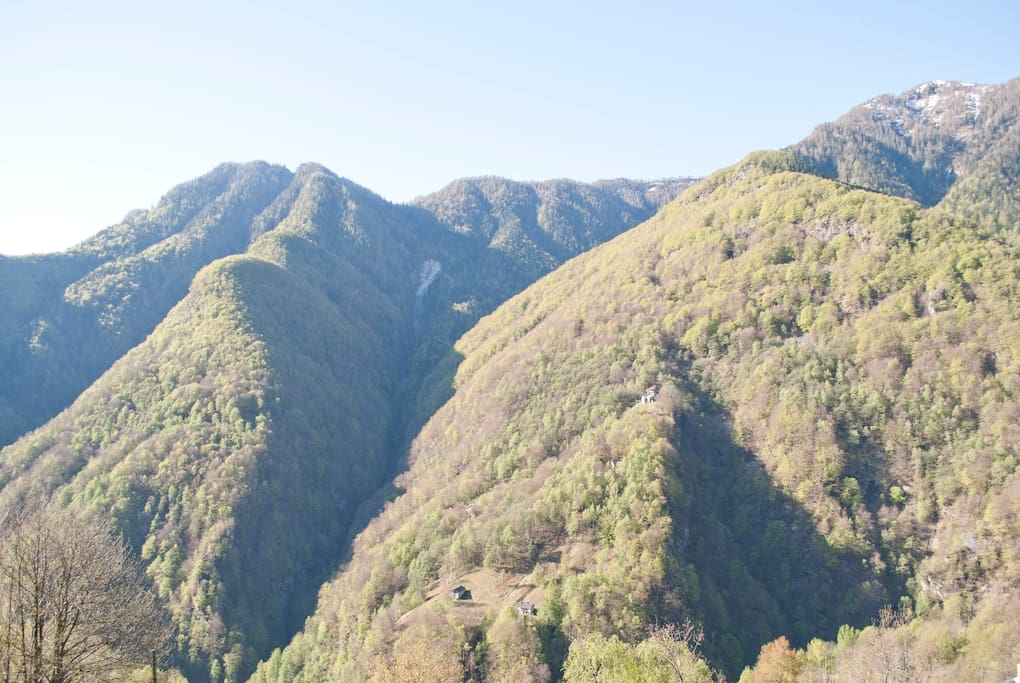 La vista