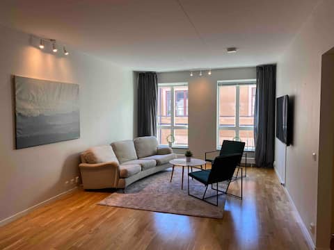 Modern apartment right in the center