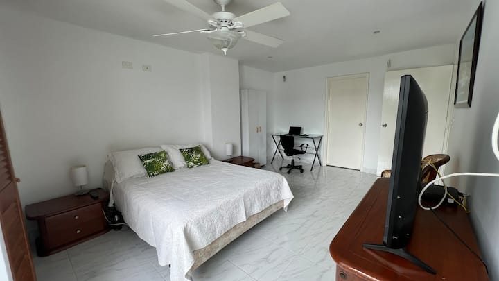 Dormitorio principal 