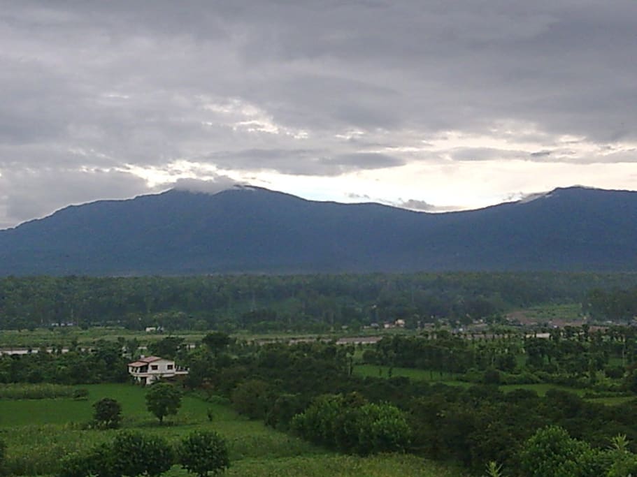 View from the Terrace