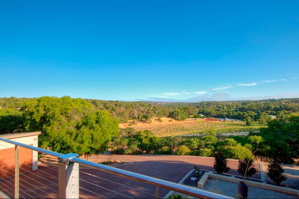Vineyard views