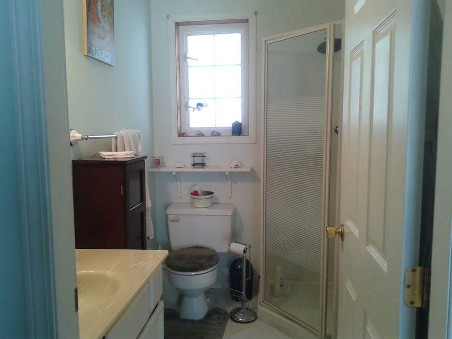 private bathroom with relaxing rain shower head