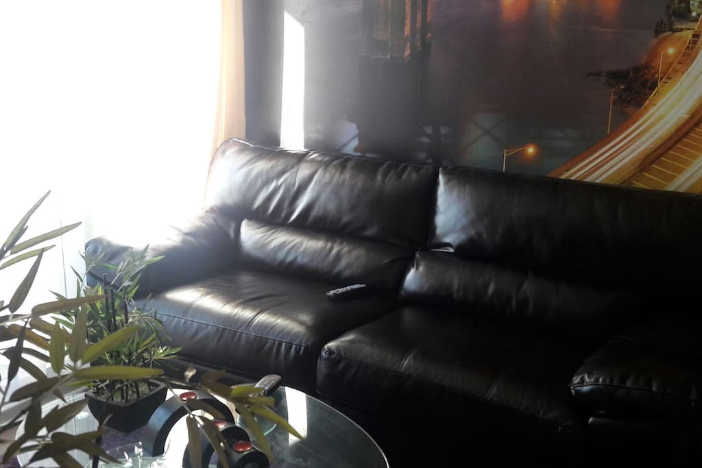living sofa de cuero