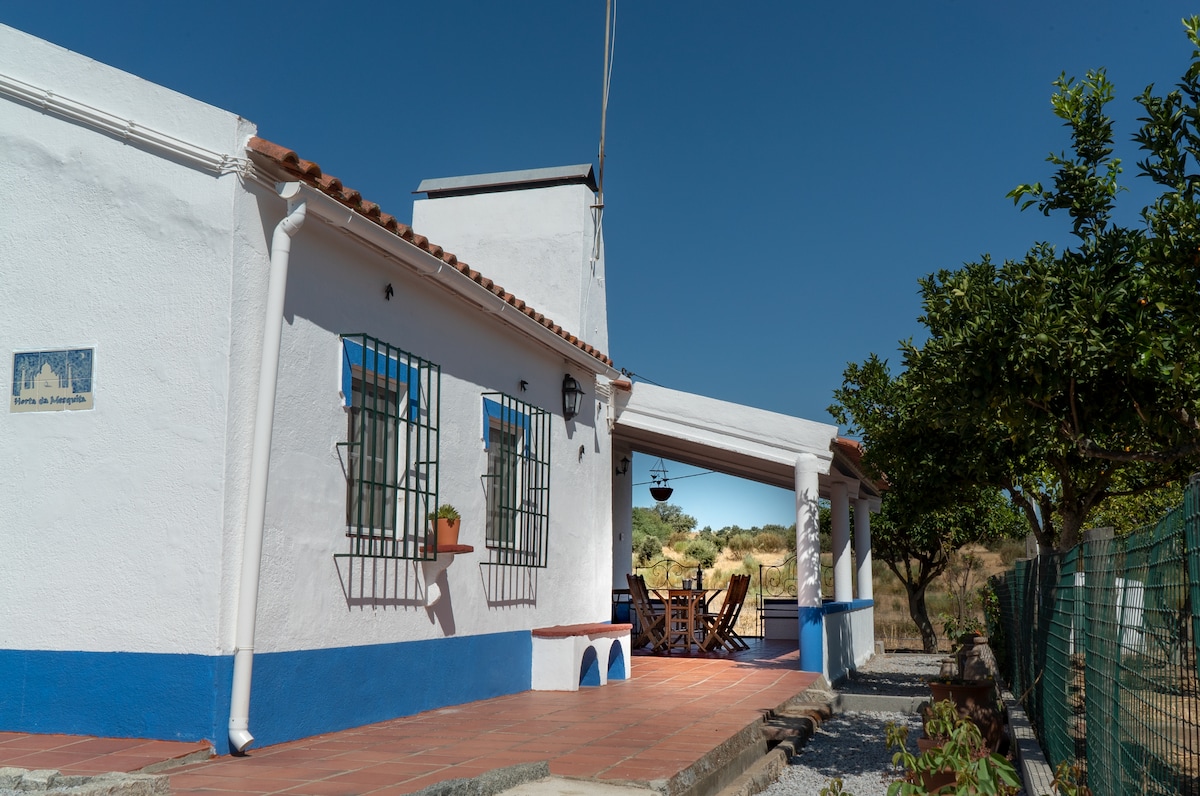 A hillside house is displayed with a striking blue and white facade, featuring decorative grilled windows. An outdoor dining area is visible, set under a shaded porch. Surrounding greenery and a gravel pathway contribute to the peaceful rural setting.