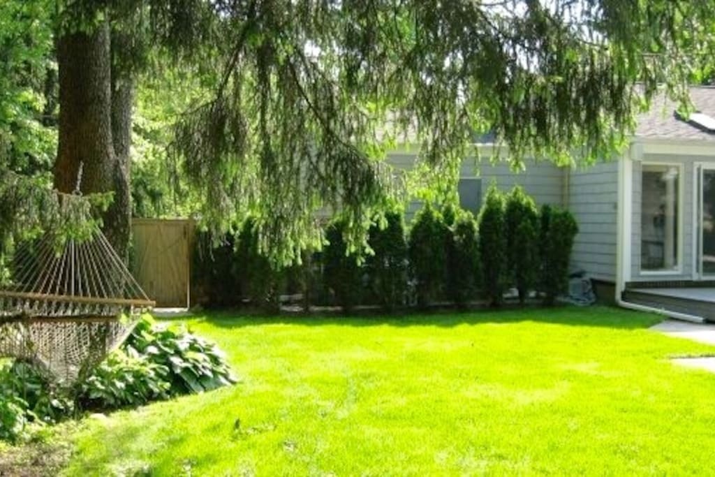 View of large side yard and the left side of the back of the house.