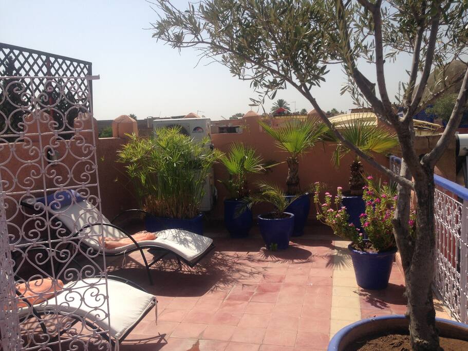 top terrasse