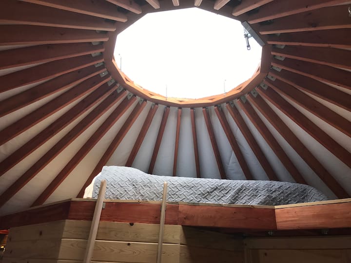 The loft bed is perfect for stargazing. ⭐️  We can usually see the Milky Way.