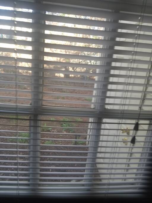 Outside patio view...chairs coming soon