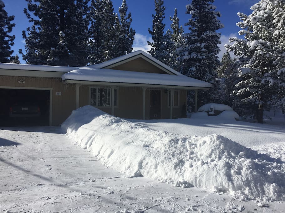Front yard ... great powder day!