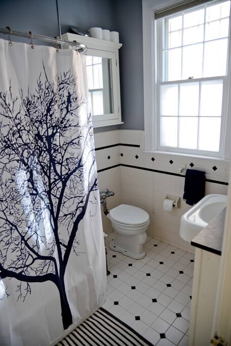 Your private bathroom (attached, full)
