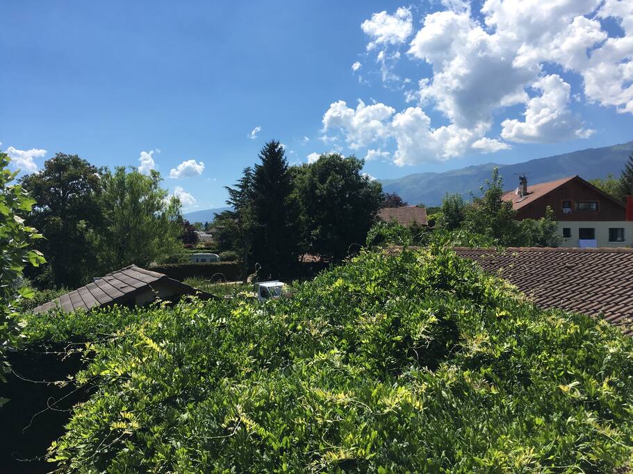 La vue depuis la chambre