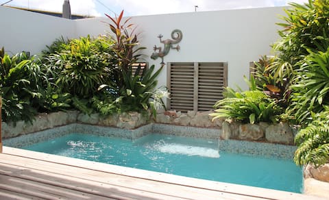 UNIQUE apartment w/private plunge pool Willemstad