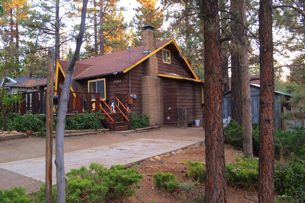 Large gated front driveway with room to play.