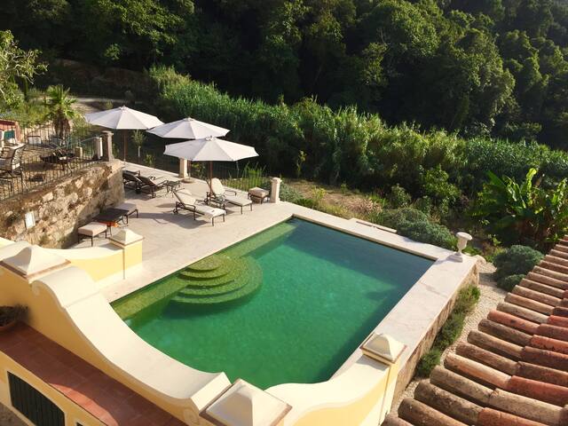 Country villa with fireplace in nature reserve gallery image 3