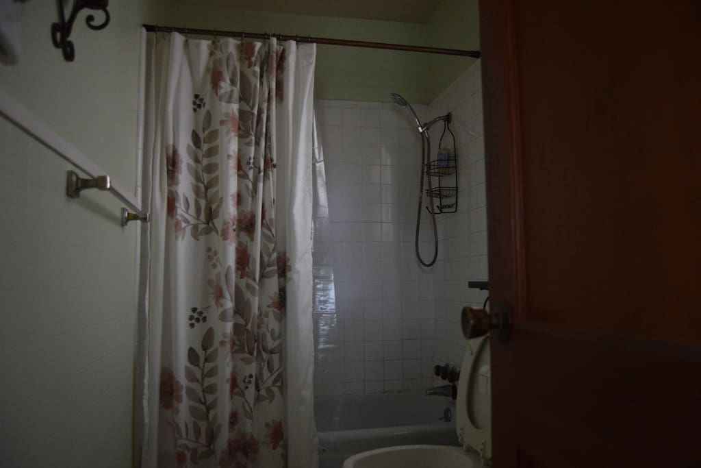 Master bathroom.