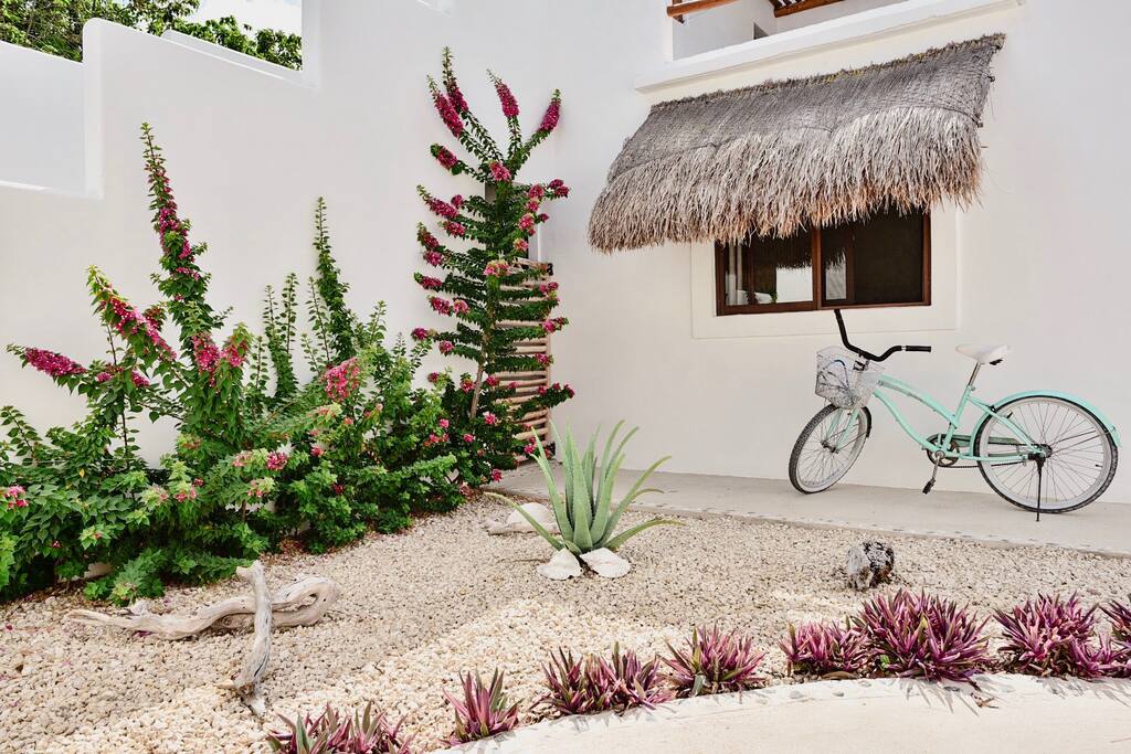 Bicicletas