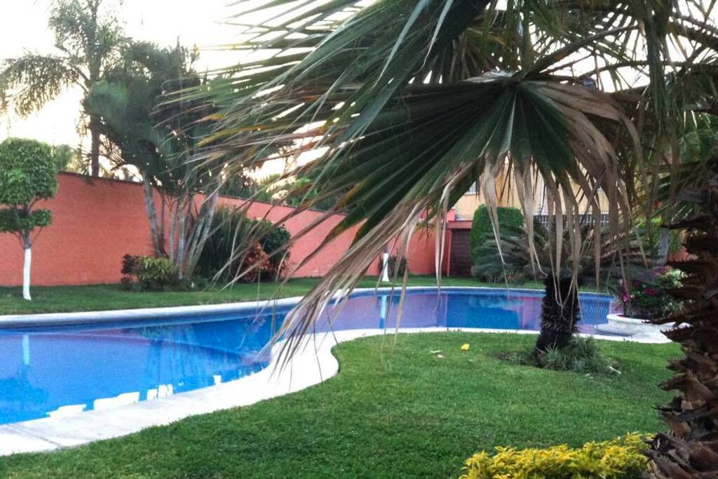 La alberca es limpia y de buen tamaño, cuenta con una parte de chapoteadero.