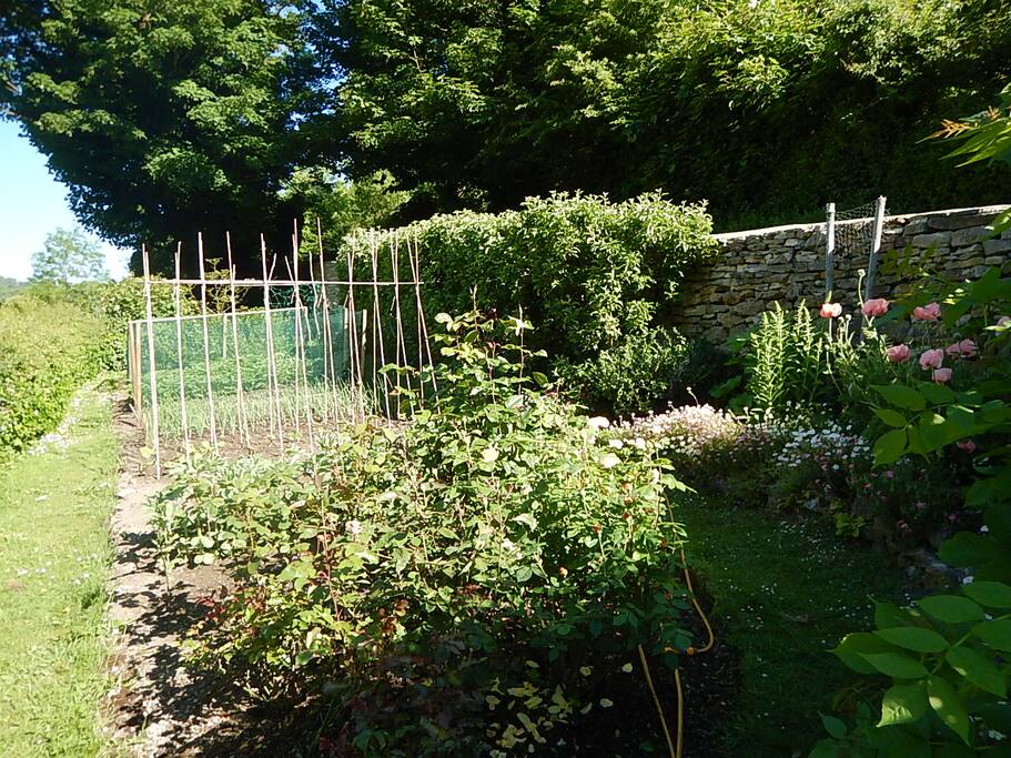 Veg patch