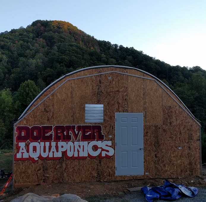 Aquaponics Greenhouse
