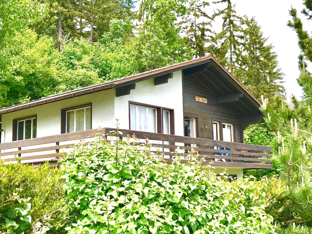 The wooden chalet is nestled among lush greenery, featuring a large balcony with seating. The exterior showcases a mix of white and dark wood finishes, while large windows allow ample natural light into the interior. The surrounding trees create a serene and secluded environment.
