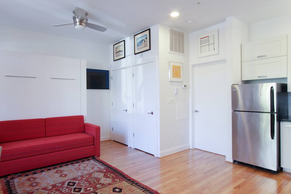 The sofa which turns into a Murphy bed with a view of the door that leads into the bedroom on the far right.