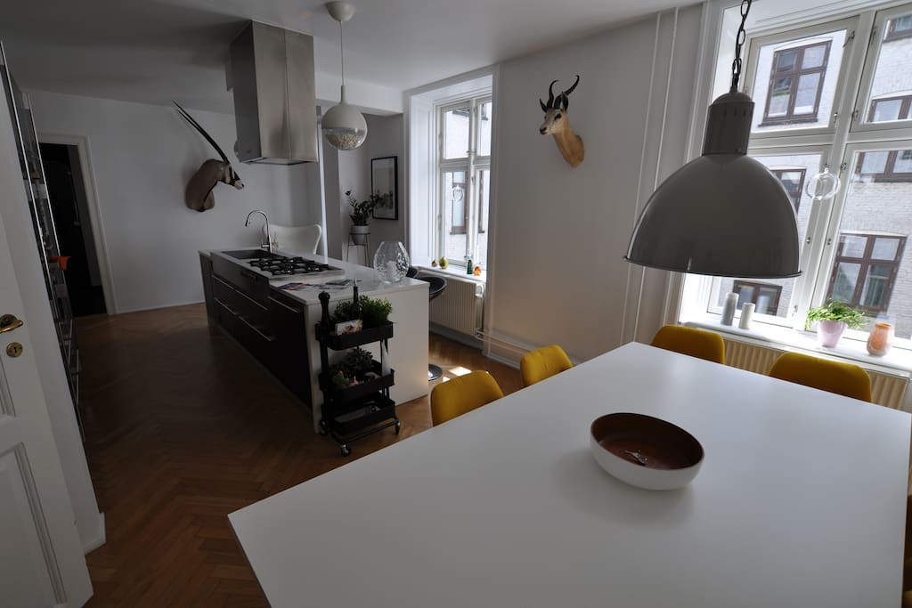 Open kitchen plan, high end materials from Italy