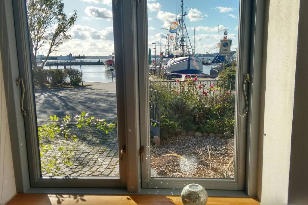 View from living room