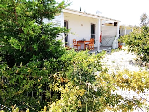 Out Of The Blue.View House #2