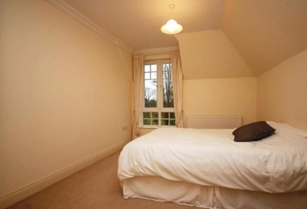 Single Rooms To Rent Cardiff Single Rooms To Rent Cardiff