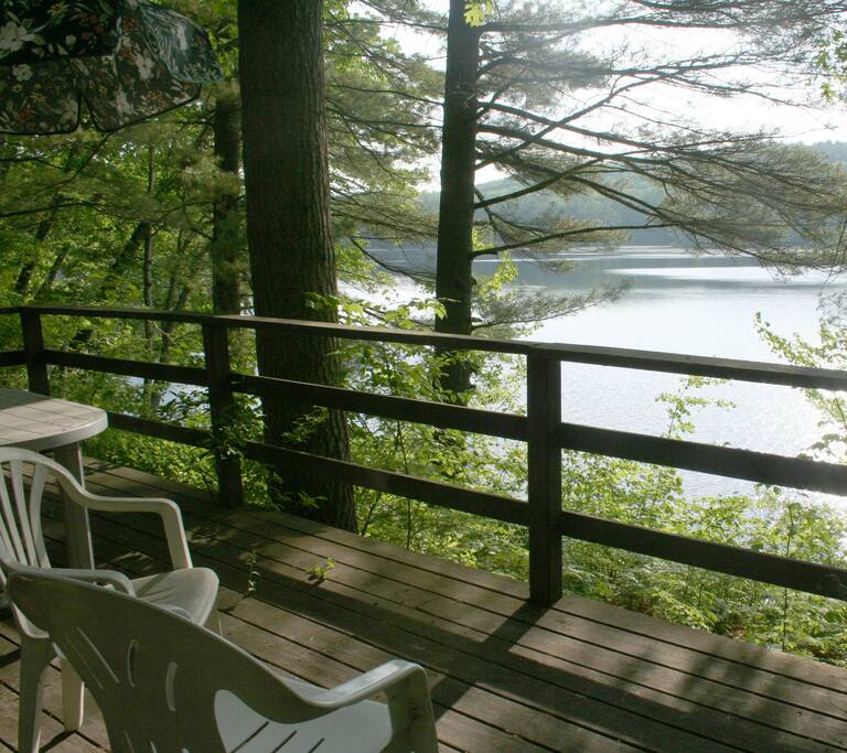 Deck view in the morning