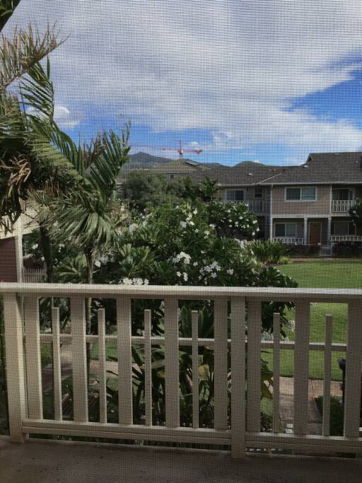 view from balcony/ lanai