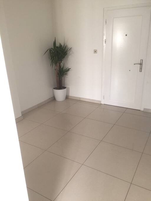 Entrance in the apartment (3x3)