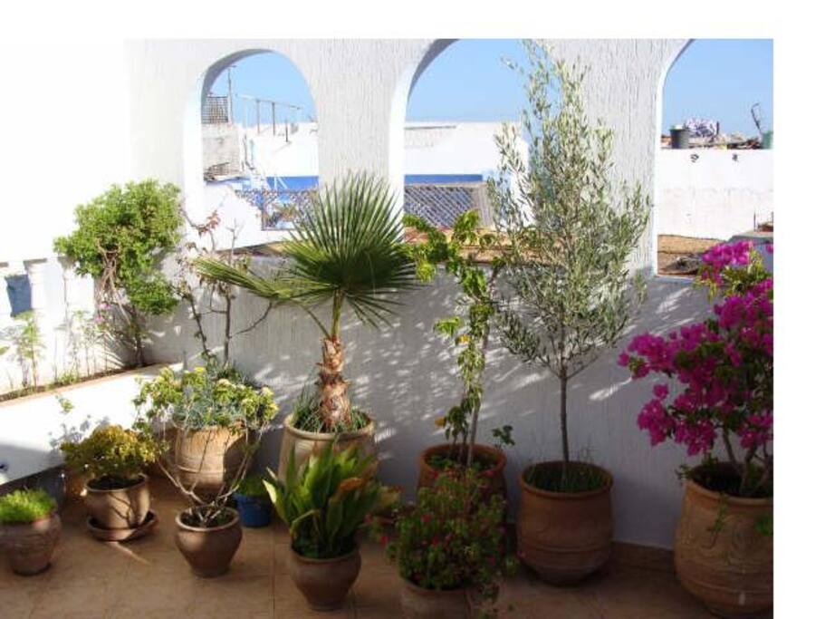 TERRASSE