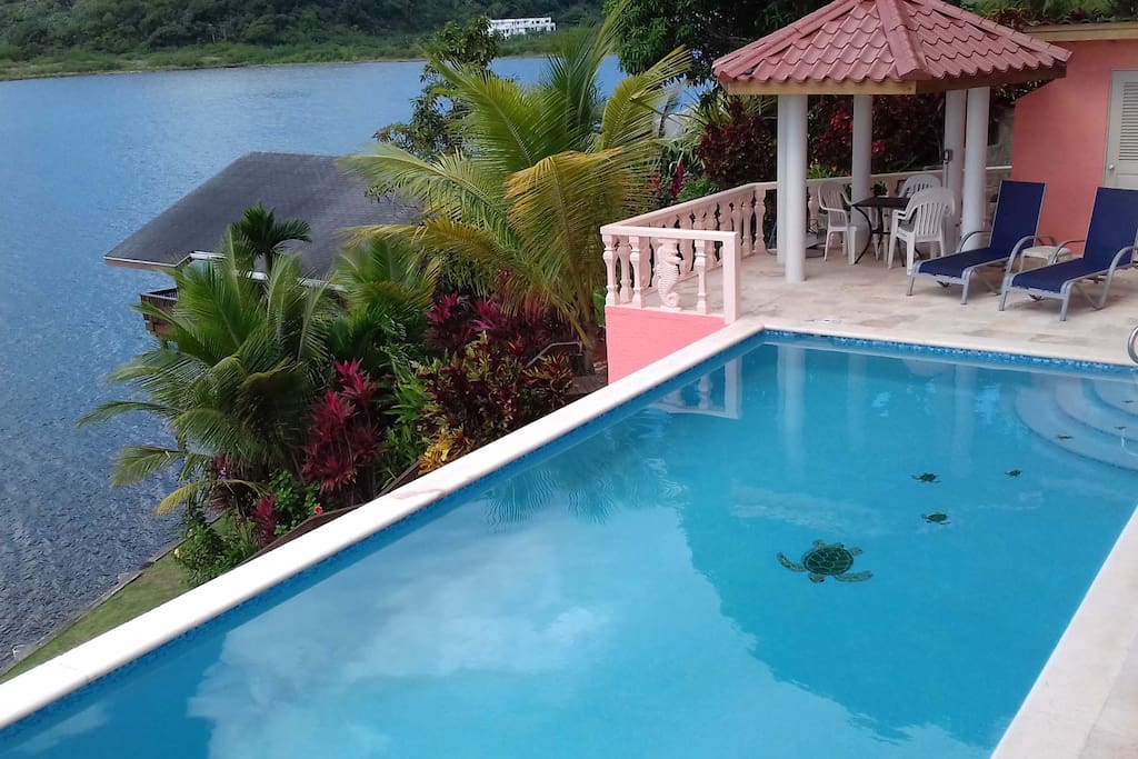 Awesome views from the pool and deck