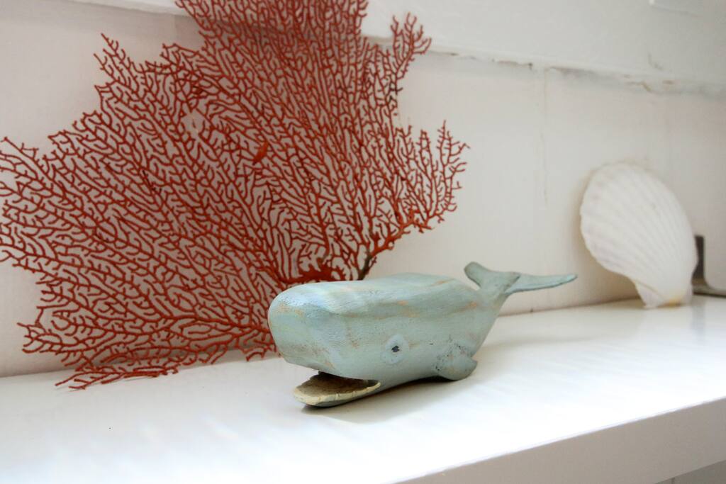 Sea fan