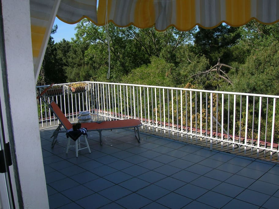 Terrazza Sud vista pineta e mare