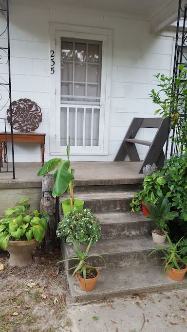 The potted plants that adorn my stoop.