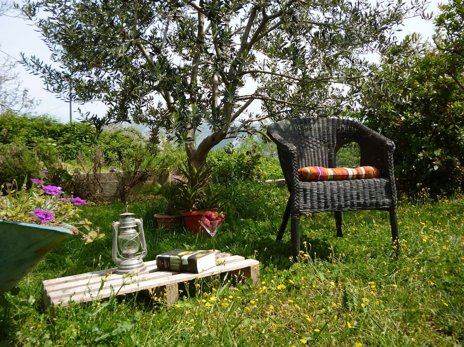 Chill-out zone in our lush garden.