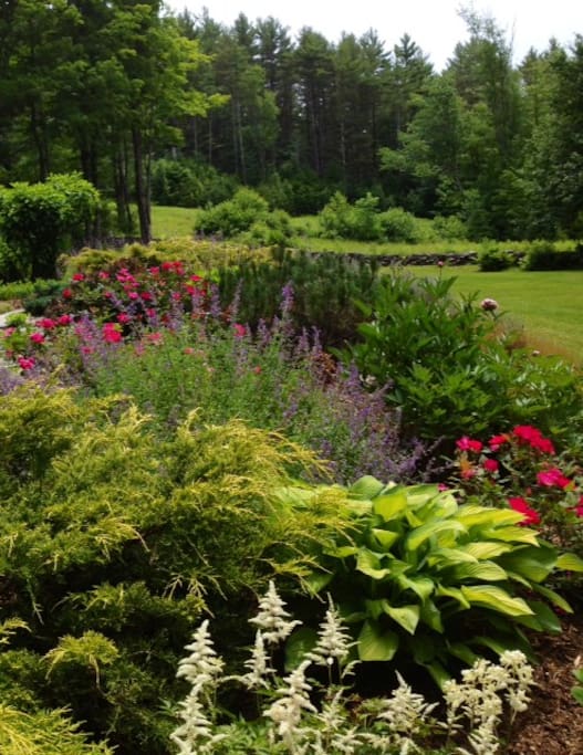 Summer Gardens