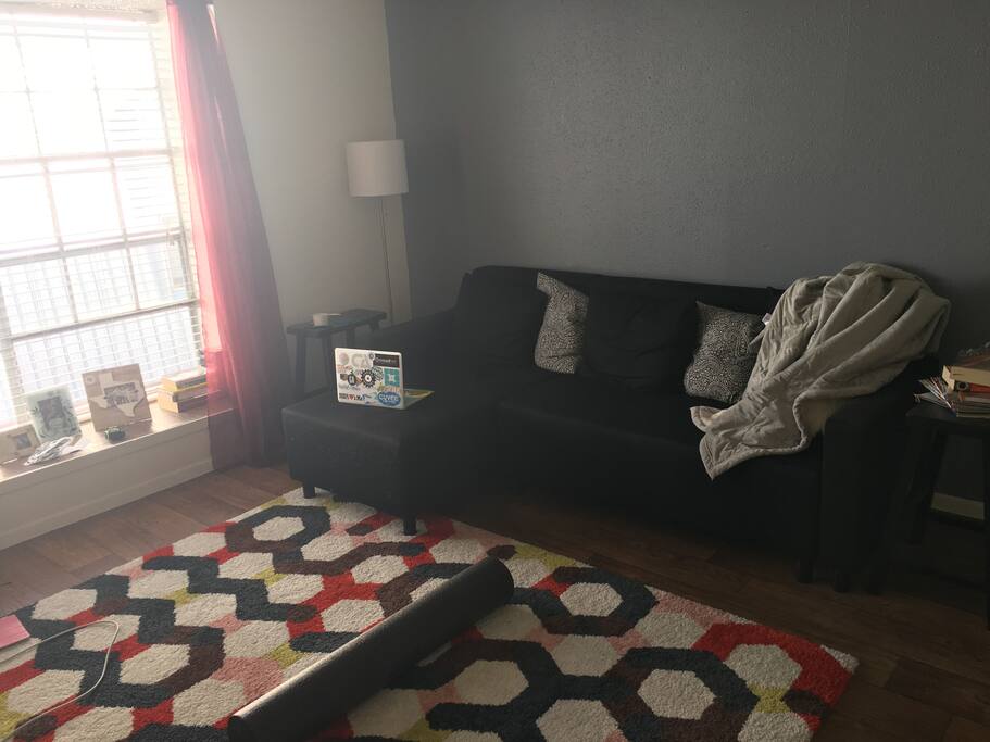Light filled living room with a couch that can pull out to sleep 2.