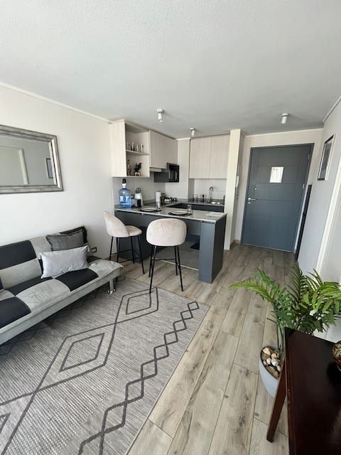 Successful Airbnb property: Cozy and nice new one-bedroom apartment in Quilpué
