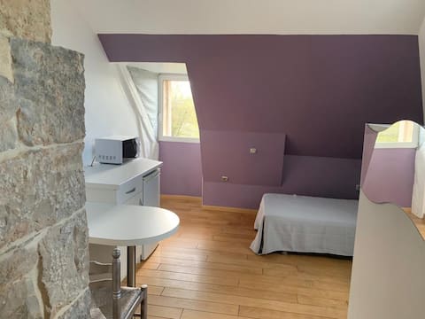 Guest apartment 1
