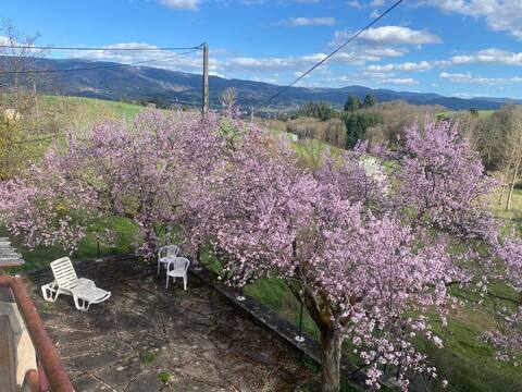 House with beautiful views of the Forez mountains