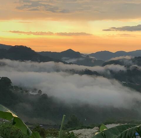 Scenic View Guest house
